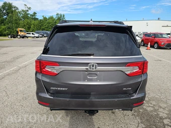 2019 Honda Odyssey Elite 118.1" WB - miniatura 5