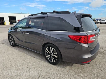 2019 Honda Odyssey Elite 118.1" WB - miniatura 6