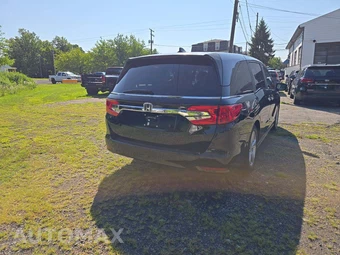 2019 Honda Odyssey EX-L 118.1" WB - miniatura 3