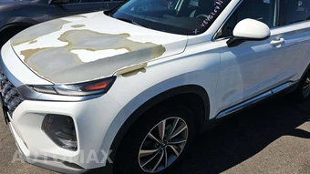 2019 Hyundai Santa Fe SEL Plus – miniatura 27