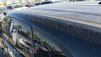 2019 Hyundai Tucson SE – miniatura 41