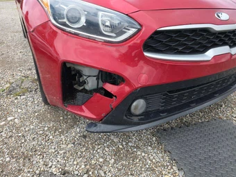 2019 Kia Forte LXS - miniatura 18