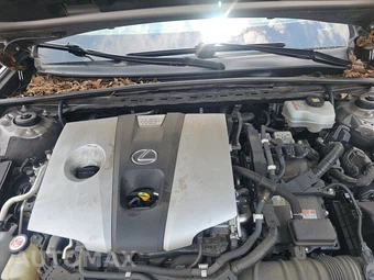 2019 Lexus ES 300h – miniatura 15