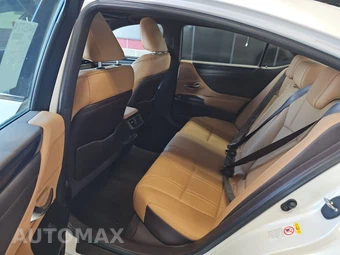 2019 Lexus ES 350 Luxury – miniatura 13