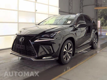 2019 Lexus NX 300 F SPORT