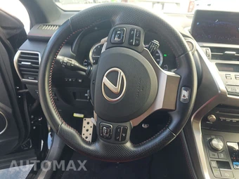 2019 Lexus NX 300 F SPORT - miniatura 10