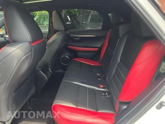 2019 Lexus NX 300 F SPORT - miniatura 16