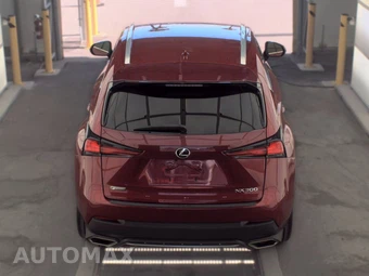 2019 Lexus NX 300 F SPORT - miniatura 5