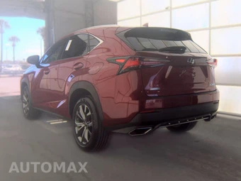 2019 Lexus NX 300 F SPORT - miniatura 6