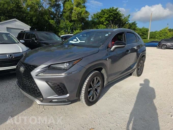 2019 Lexus NX 300 F SPORT