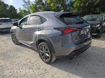 2019 Lexus NX 300 F SPORT - miniatura 2