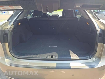 2019 Lexus RX 350 - miniatura 14