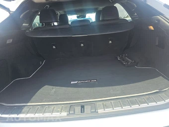 2019 Lexus RX 450h F SPORT - miniatura 16