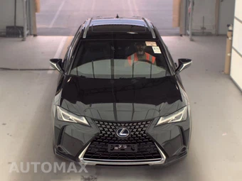 2019 Lexus UX 250h – miniatura 2