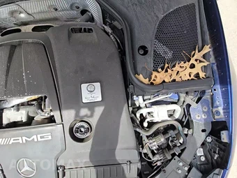 2019 Mercedes-Benz AMG GT 63 4MATIC Sedan - miniatura 24