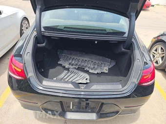 2019 Mercedes-Benz CLS 450 4MATIC – miniatura 14