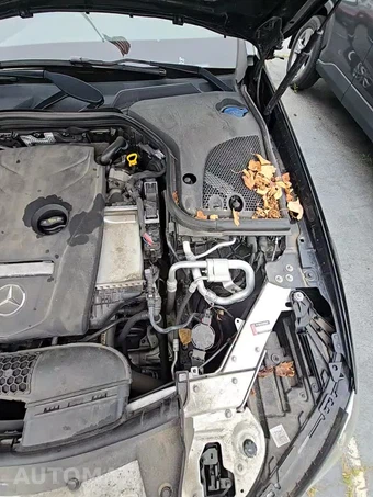 2019 Mercedes-Benz E 300 4MATIC Sedan - miniatura 32