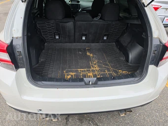 2019 Subaru Impreza 5-Door 2.0i Sport Hatchback - miniatura 16