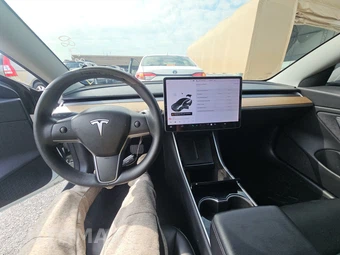 2019 Tesla Model 3 Standard Range – miniatura 11