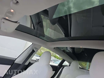 2019 Tesla Model 3 Standard Range Plus - miniatura 11