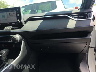 2019 Toyota RAV4 Hybrid XSE - miniatura 19