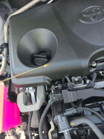2019 Toyota RAV4 Hybrid XSE - miniatura 24