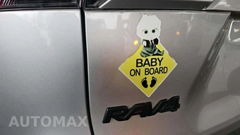 2019 Toyota RAV4 LE – miniatura 46