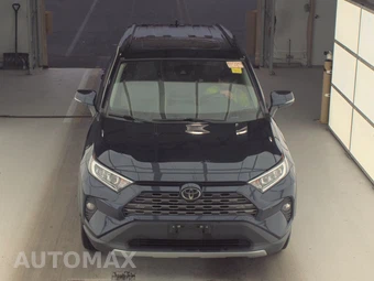 2019 Toyota RAV4 Limited – miniatura 2