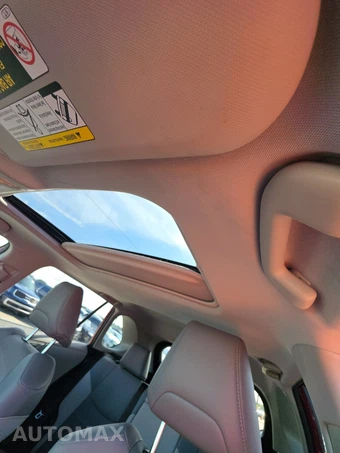 2019 Toyota RAV4 Limited - miniatura 17