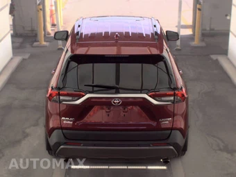 2019 Toyota RAV4 Limited - miniatura 5