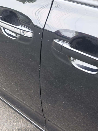 2019 Toyota Sienna LE 8-Passenger 119.3" WB - miniatura 24