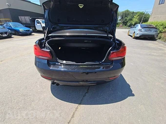 2020 BMW 2 Series Convertible 230i xDrive LUXURY LINE - miniatura 14