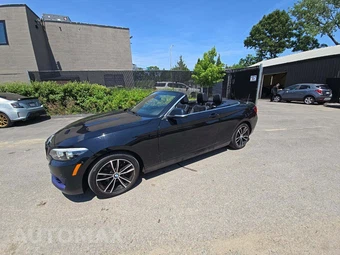 2020 BMW 2 Series Convertible 230i xDrive LUXURY LINE - miniatura 36