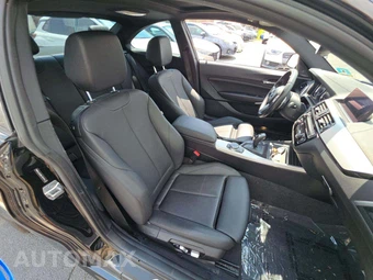 2020 BMW 2 Series Coupe 230i xDrive M SPORT LINE - miniatura 18