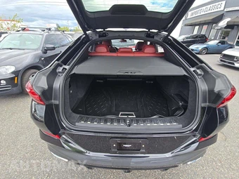 2020 BMW X6 Sports Activity Vehicle xDrive40i M SPORT LINE - miniatura 11