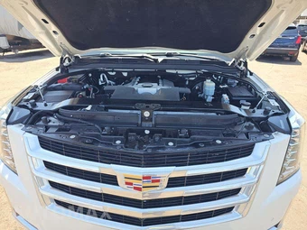 2020 Cadillac Escalade ESV Luxury 1SB - miniatura 32
