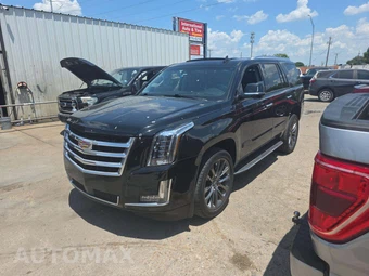 2020 Cadillac Escalade Luxury 1SB