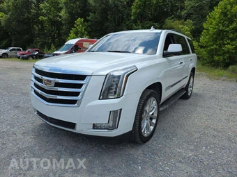 2020 Cadillac Escalade Luxury 1SB