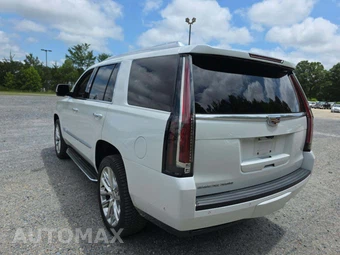 2020 Cadillac Escalade Luxury 1SB - miniatura 2