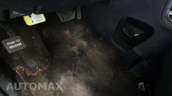 2020 Dodge Grand Caravan GT 121.2" WB - miniatura 21