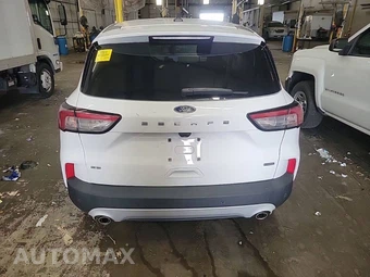 2020 Ford Escape Hybrid SE Sport - miniatura 3