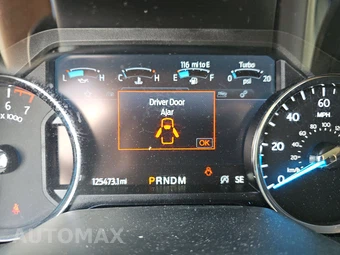 2020 Ford Expedition XLT – miniatura 12