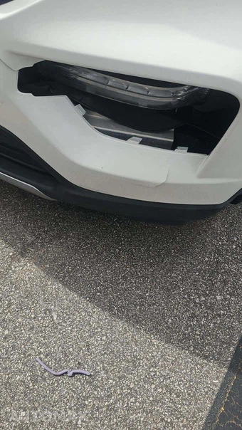 2020 Ford Explorer XLT - miniatura 23
