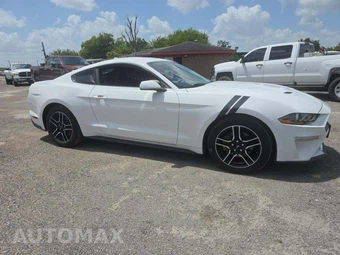 2020 Ford Mustang EcoBoost Coupe - miniatura 4