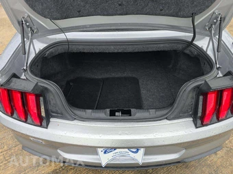 2020 Ford Mustang EcoBoost Premium Convertible - miniatura 14