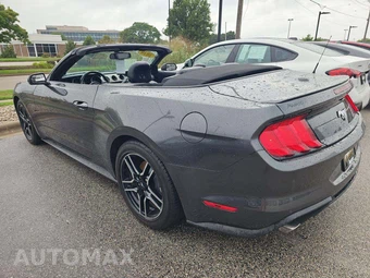 2020 Ford Mustang EcoBoost Premium Convertible - miniatura 2