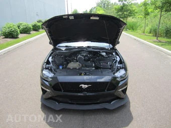 2020 Ford Mustang GT Premium Coupe – miniatura 59