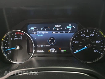2020 Ford Super Duty F-250 Platinum Crew Cab Medium Bed - miniatura 12
