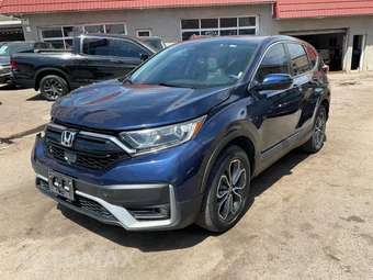 2020 Honda CR-V EX - car from the USA, Manheim Buy-Now listing at AUTOMAX