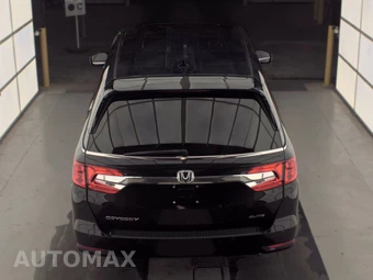 2020 Honda Odyssey Elite 118.1" WB - miniatura 5